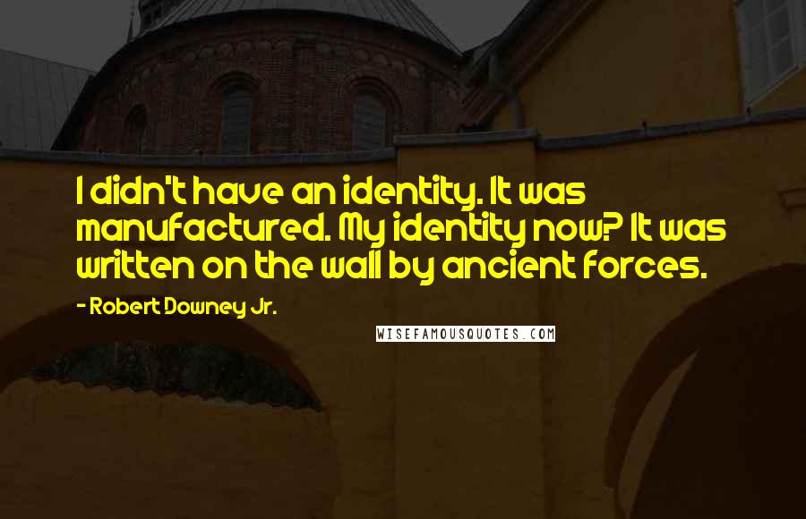 Robert Downey Jr. quotes: I didn't have an identity. It was manufactured. My identity now? It was written on the wall by ancient forces.