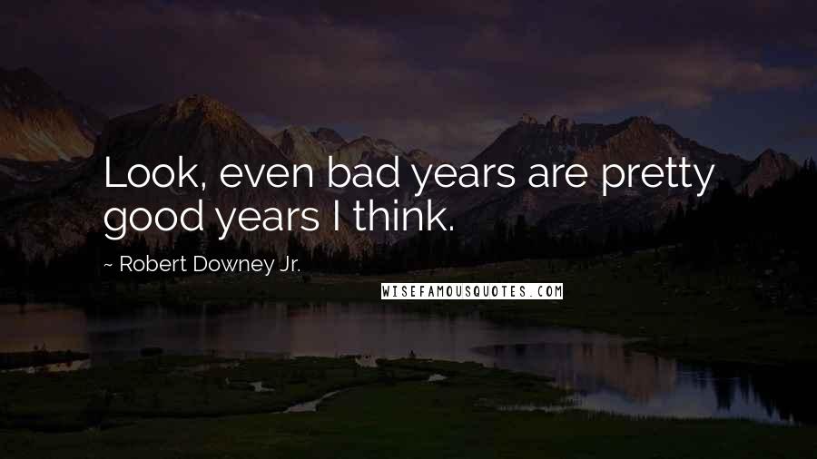 Robert Downey Jr. quotes: Look, even bad years are pretty good years I think.