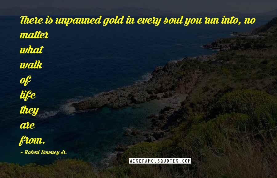Robert Downey Jr. quotes: There is unpanned gold in every soul you run into, no matter what walk of life they are from.