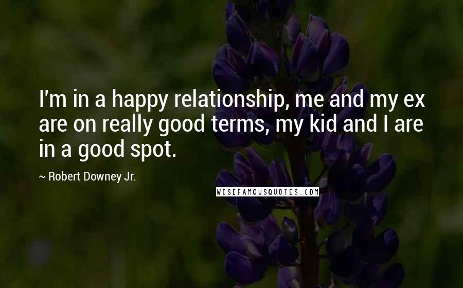 Robert Downey Jr. quotes: I'm in a happy relationship, me and my ex are on really good terms, my kid and I are in a good spot.