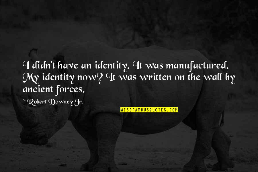 Robert Downey Jr Quotes By Robert Downey Jr.: I didn't have an identity. It was manufactured.