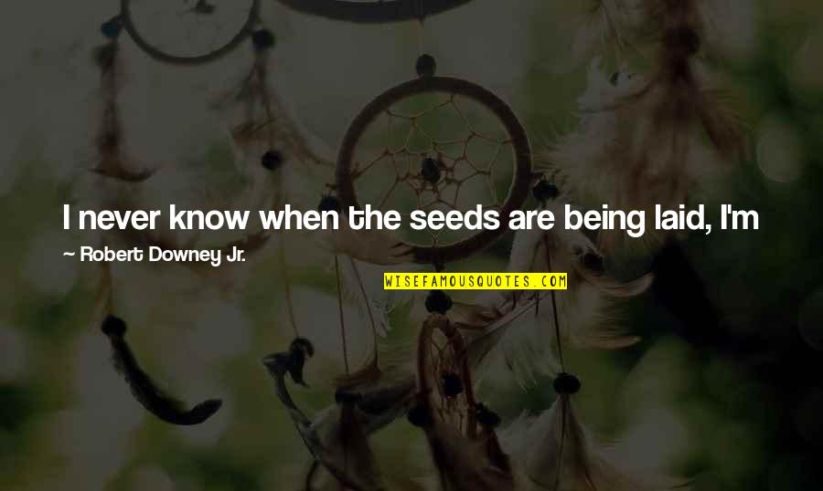 Robert Downey Jr Quotes By Robert Downey Jr.: I never know when the seeds are being