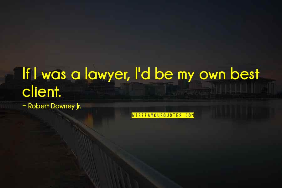 Robert Downey Jr Quotes By Robert Downey Jr.: If I was a lawyer, I'd be my