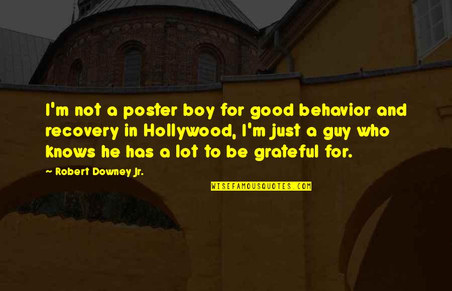 Robert Downey Jr Quotes By Robert Downey Jr.: I'm not a poster boy for good behavior
