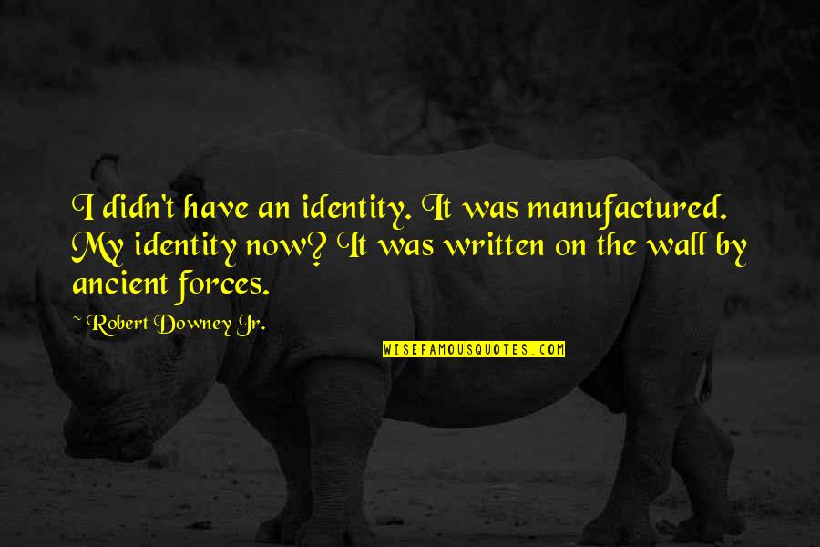 Robert Downey Quotes By Robert Downey Jr.: I didn't have an identity. It was manufactured.