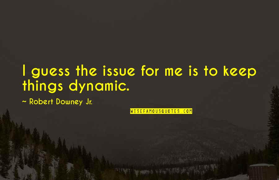 Robert Downey Quotes By Robert Downey Jr.: I guess the issue for me is to