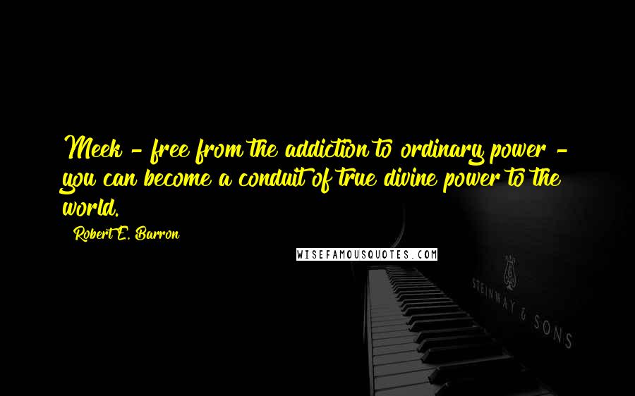 Robert E. Barron quotes: Meek - free from the addiction to ordinary power - you can become a conduit of true divine power to the world.