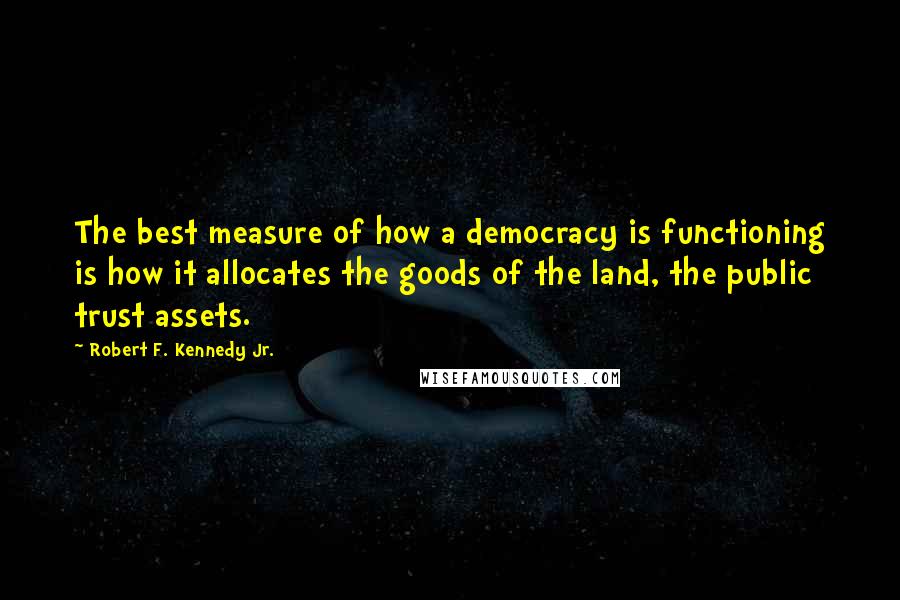 Robert F. Kennedy Jr. quotes: The best measure of how a democracy is functioning is how it allocates the goods of the land, the public trust assets.