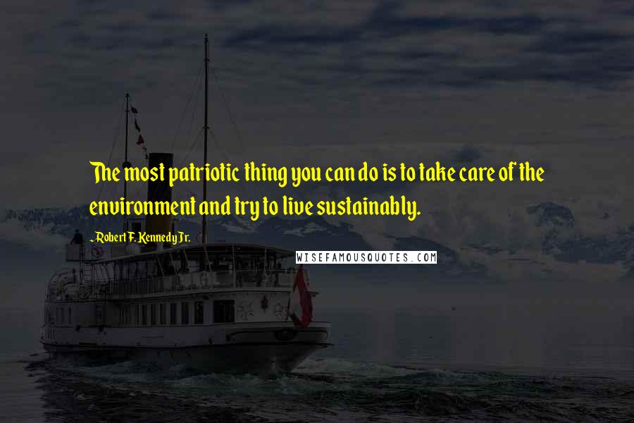 Robert F. Kennedy Jr. quotes: The most patriotic thing you can do is to take care of the environment and try to live sustainably.