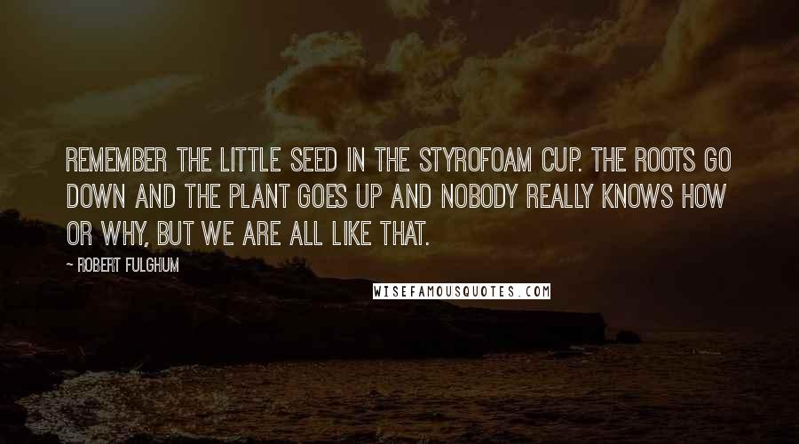Robert Fulghum quotes: Remember the little seed in the Styrofoam cup. The roots go down and the plant goes up and nobody really knows how or why, but we are all like that.