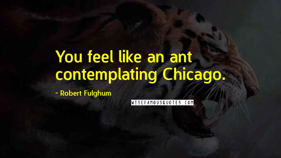 Robert Fulghum quotes: You feel like an ant contemplating Chicago.