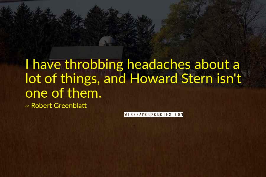 Robert Greenblatt quotes: I have throbbing headaches about a lot of things, and Howard Stern isn't one of them.