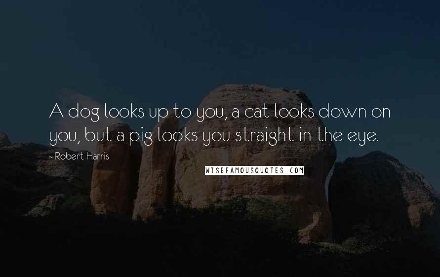 Robert Harris quotes: A dog looks up to you, a cat looks down on you, but a pig looks you straight in the eye.