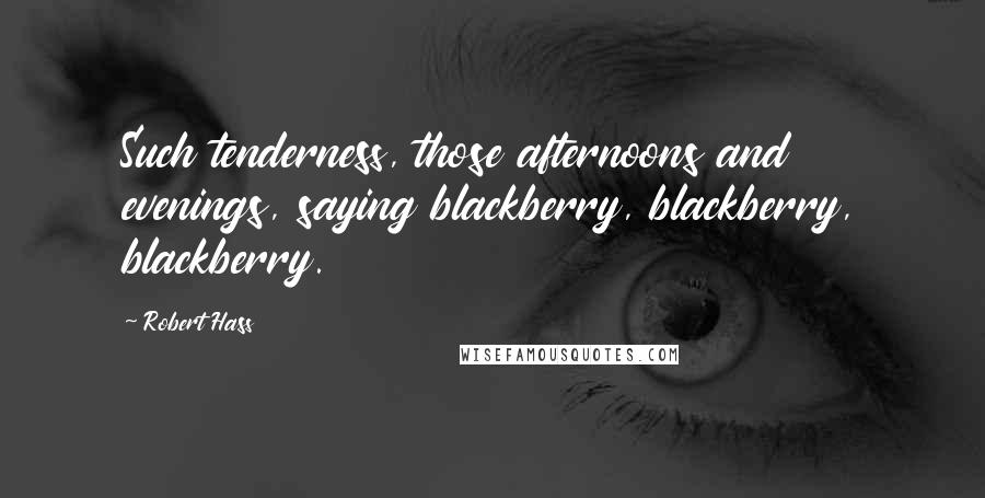 Robert Hass quotes: Such tenderness, those afternoons and evenings, saying blackberry, blackberry, blackberry.