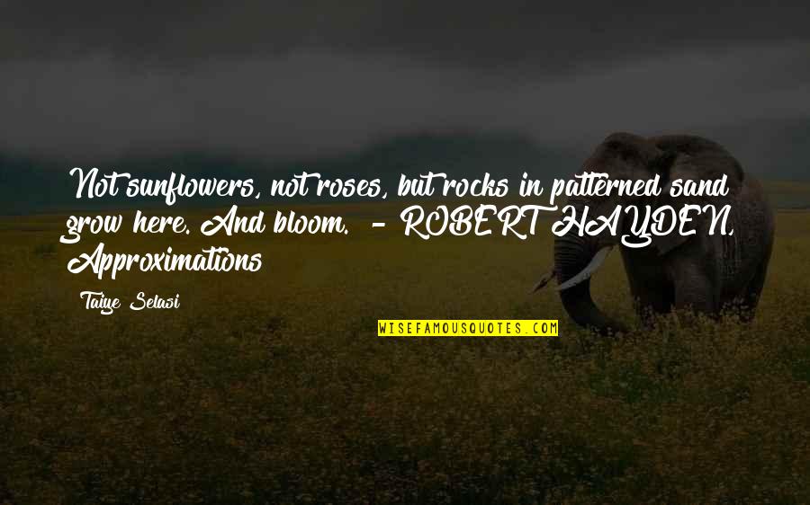 Robert Hayden Quotes By Taiye Selasi: Not sunflowers, not roses, but rocks in patterned Robert Hayden Quotes By Taiye Selasi: Not sunflowers, not roses, but rocks in patterned