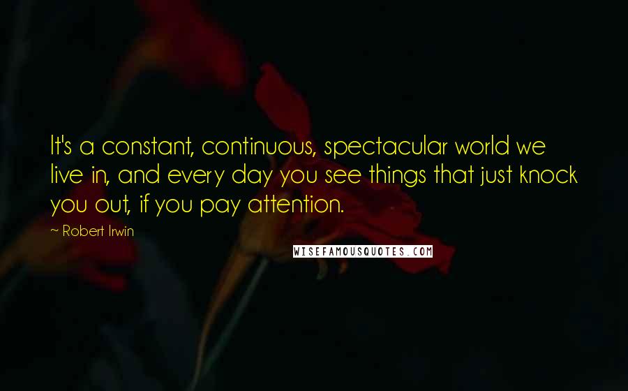 Robert Irwin quotes: It's a constant, continuous, spectacular world we live in, and every day you see things that just knock you out, if you pay attention.