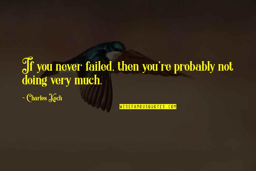 Robert Johnson Psychologist Quotes By Charles Koch: If you never failed, then you're probably not
