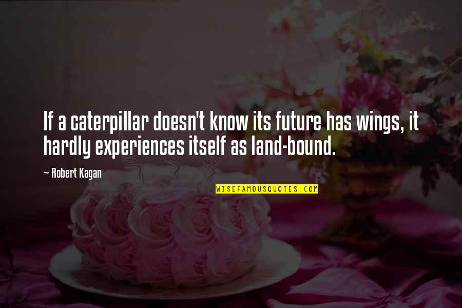 Robert Kagan Quotes By Robert Kagan: If a caterpillar doesn't know its future has Robert Kagan Quotes By Robert Kagan: If a caterpillar doesn't know its future has