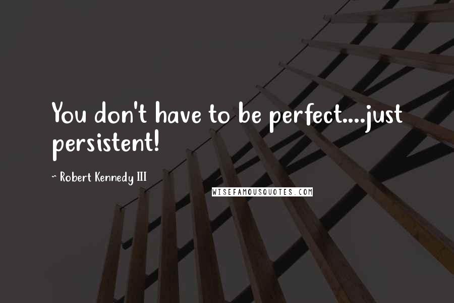 Robert Kennedy III quotes: You don't have to be perfect....just persistent!