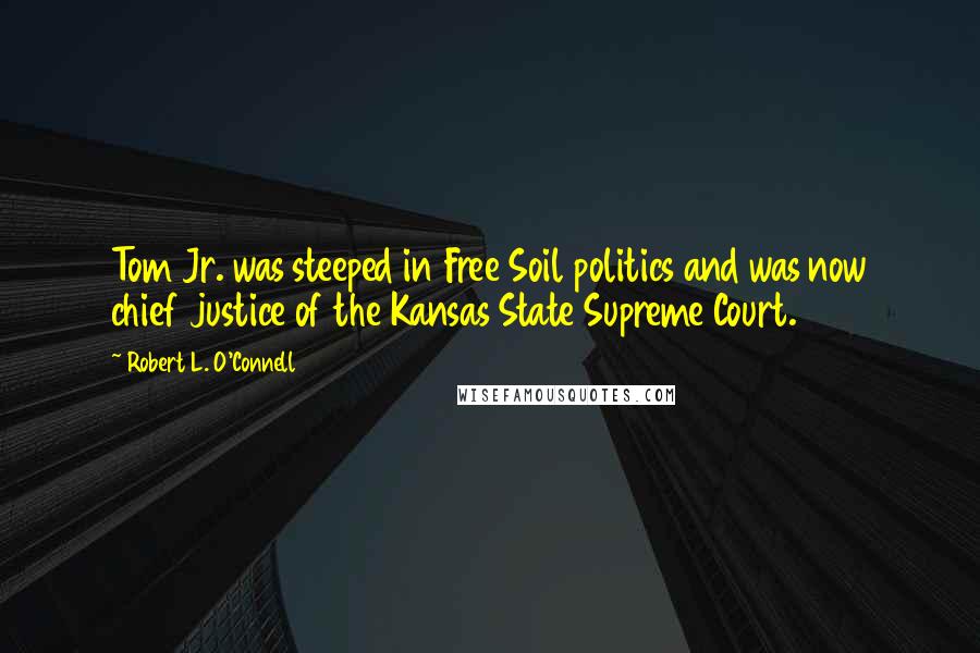 Robert L. O'Connell quotes: Tom Jr. was steeped in Free Soil politics and was now chief justice of the Kansas State Supreme Court.