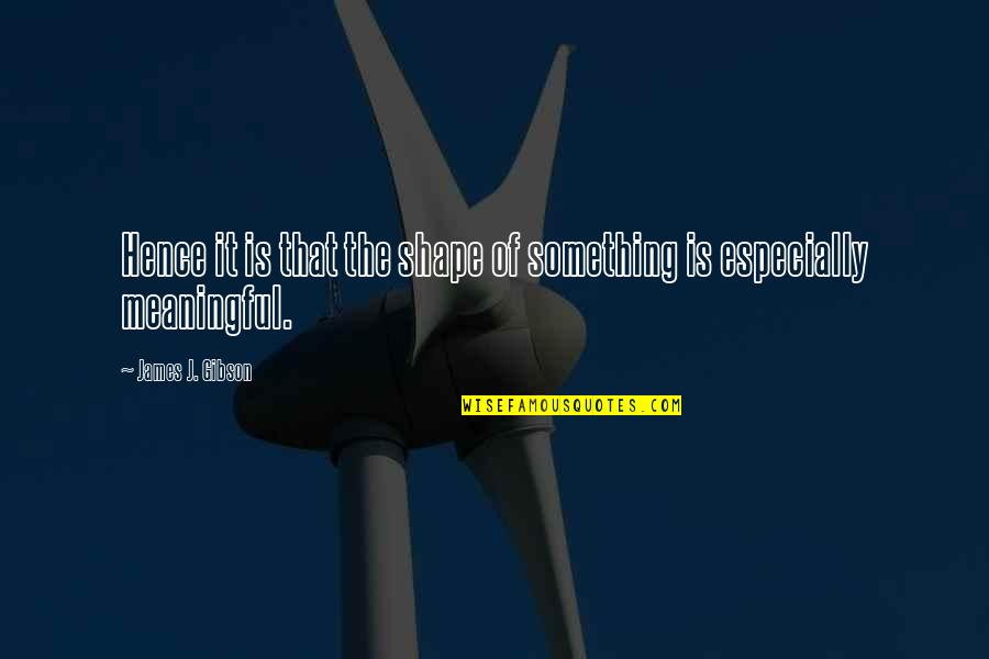 Robert Longo Quotes By James J. Gibson: Hence it is that the shape of something