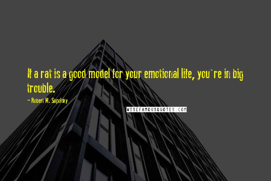 Robert M. Sapolsky quotes: If a rat is a good model for your emotional life, you're in big trouble.