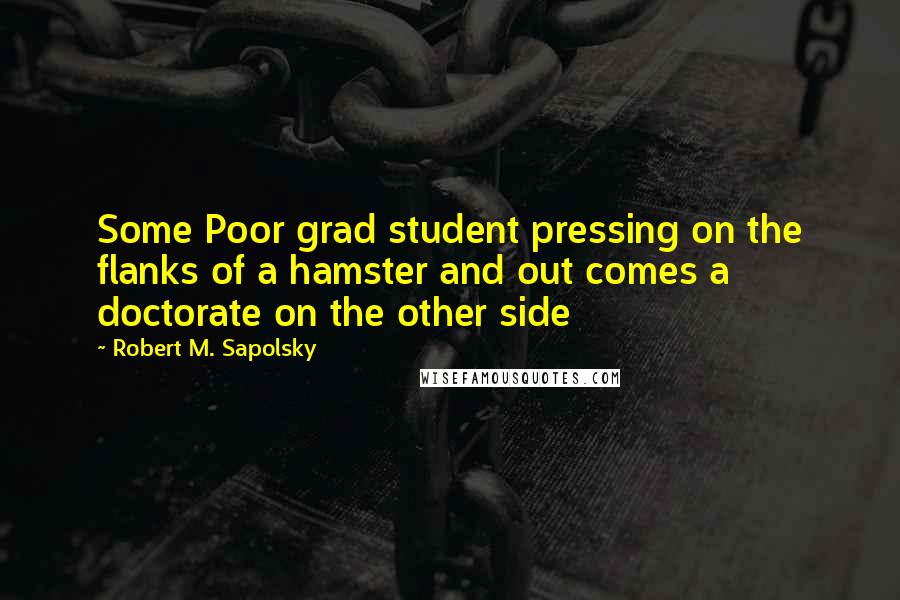 Robert M. Sapolsky quotes: Some Poor grad student pressing on the flanks of a hamster and out comes a doctorate on the other side