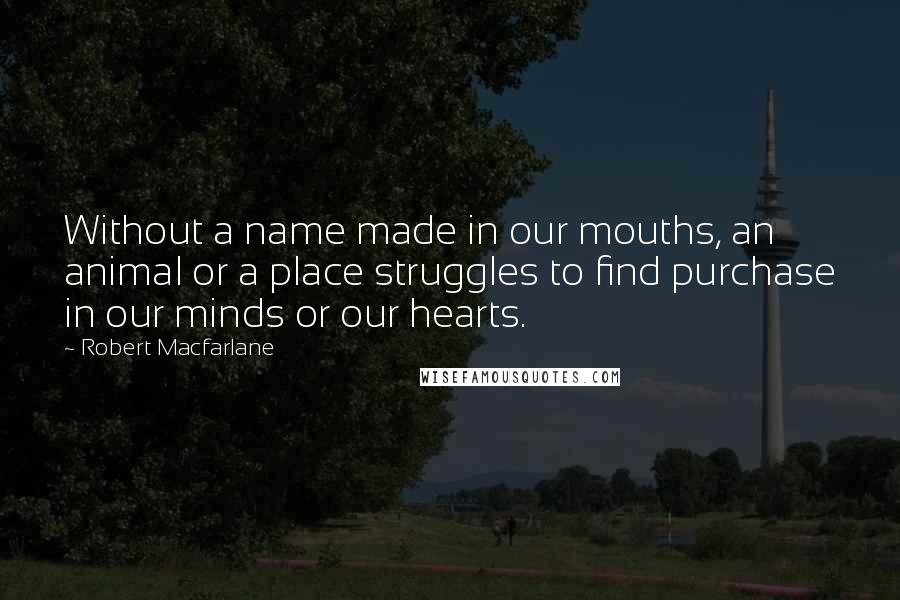 Robert Macfarlane quotes: Without a name made in our mouths, an animal or a place struggles to find purchase in our minds or our hearts.