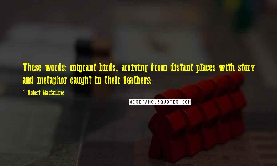 Robert Macfarlane quotes: These words: migrant birds, arriving from distant places with story and metaphor caught in their feathers;