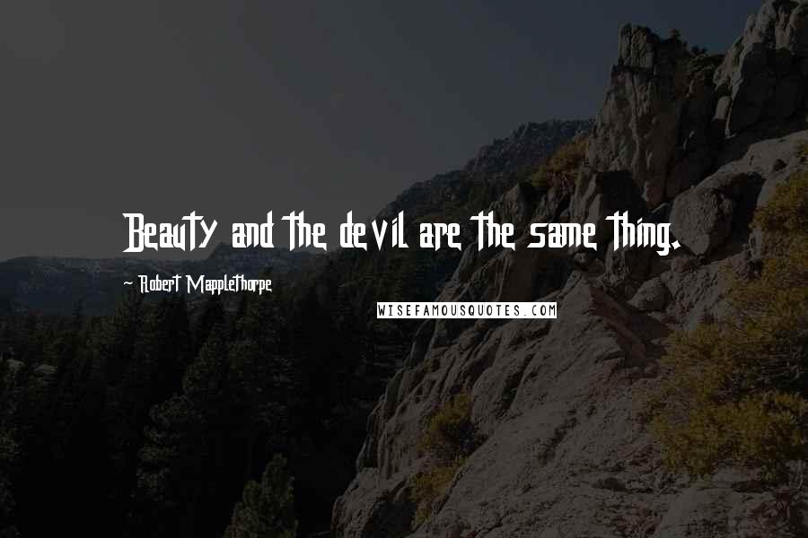 Robert Mapplethorpe quotes: Beauty and the devil are the same thing.
