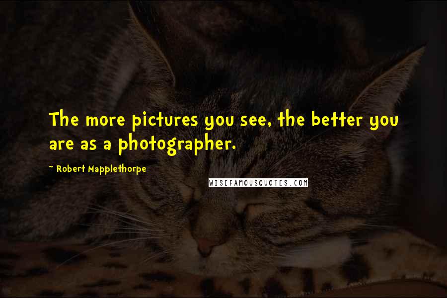 Robert Mapplethorpe quotes: The more pictures you see, the better you are as a photographer.