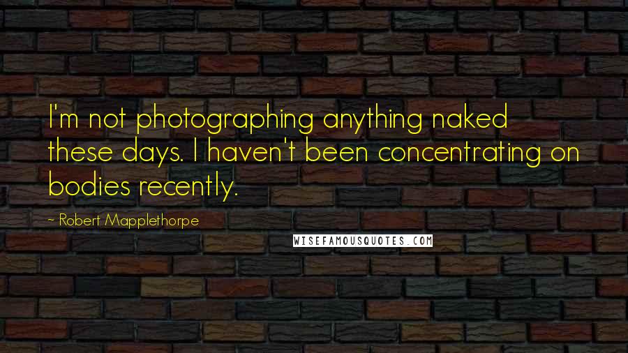 Robert Mapplethorpe quotes: I'm not photographing anything naked these days. I haven't been concentrating on bodies recently.
