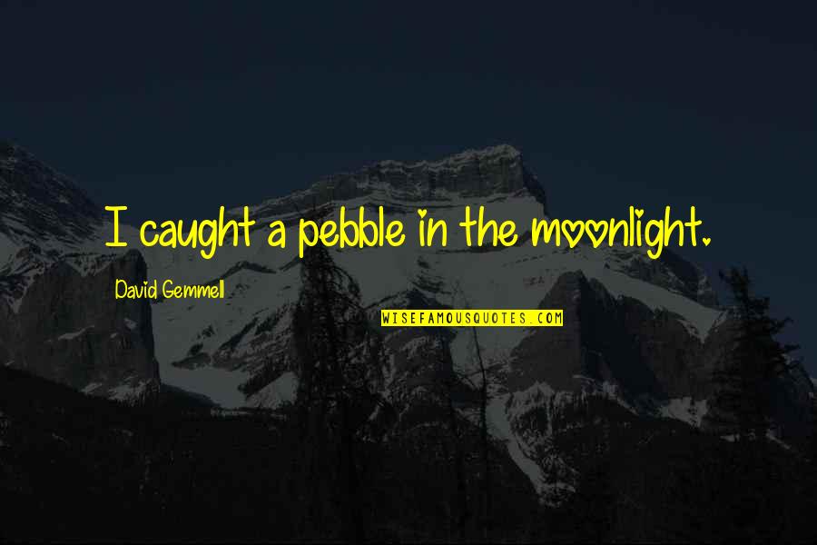 Robert Merrihew Adams Quotes By David Gemmell: I caught a pebble in the moonlight.