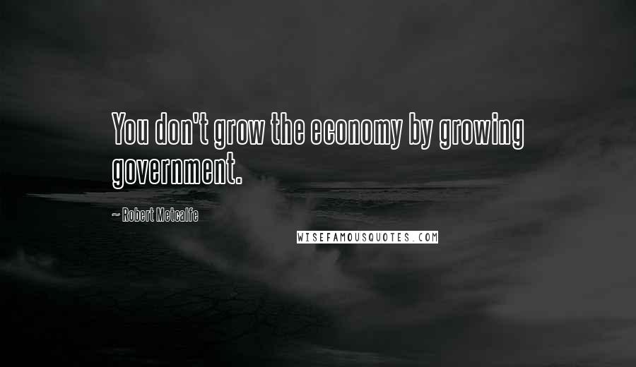 Robert Metcalfe quotes: You don't grow the economy by growing government.