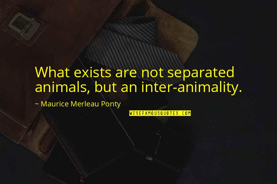 Robert Morgan Boone Quotes By Maurice Merleau Ponty: What exists are not separated animals, but an Robert Morgan Boone Quotes By Maurice Merleau Ponty: What exists are not separated animals, but an