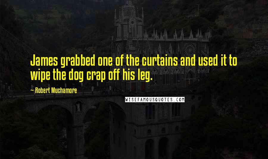 Robert Muchamore quotes: James grabbed one of the curtains and used it to wipe the dog crap off his leg.