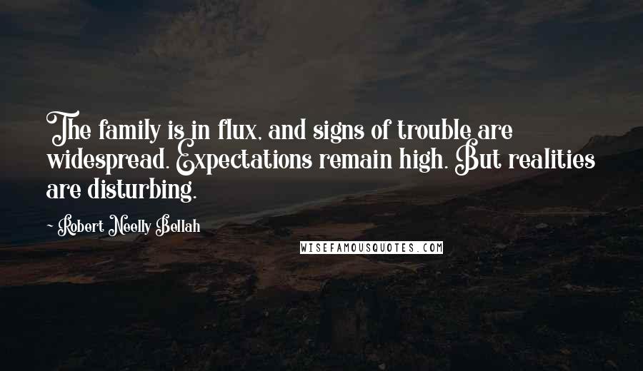 Robert Neelly Bellah quotes: The family is in flux, and signs of trouble are widespread. Expectations remain high. But realities are disturbing.