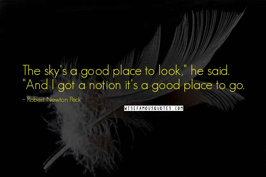 Robert Newton Peck quotes: The sky's a good place to look," he said. "And I got a notion it's a good place to go.