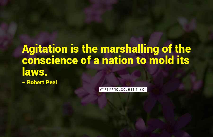 Robert Peel quotes: Agitation is the marshalling of the conscience of a nation to mold its laws.