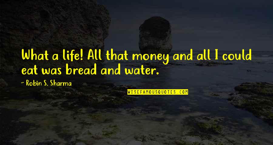 Robert Rabbin Quotes By Robin S. Sharma: What a life! All that money and all Robert Rabbin Quotes By Robin S. Sharma: What a life! All that money and all
