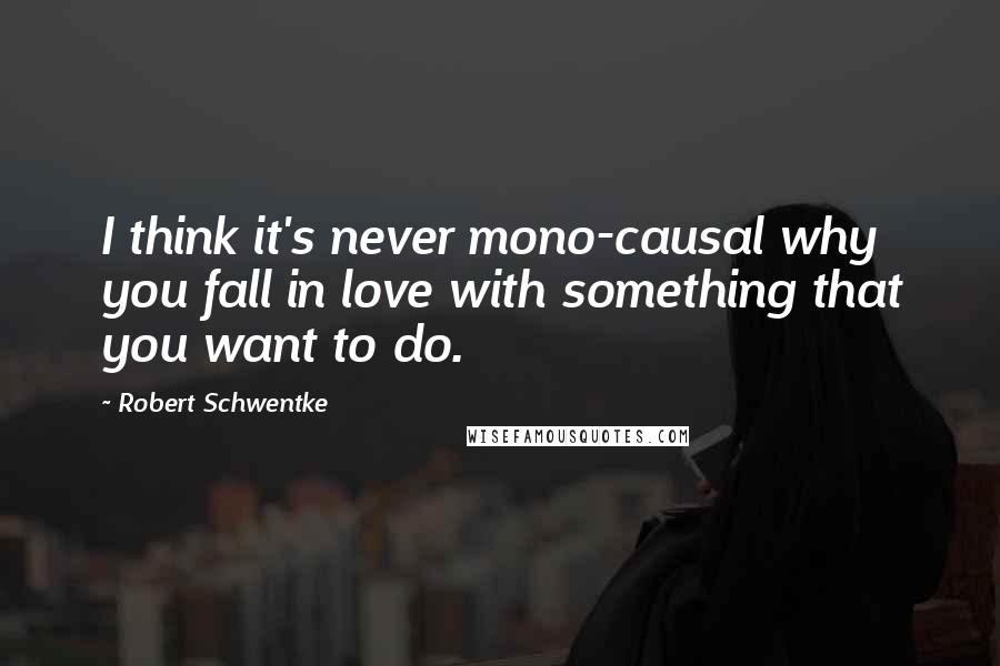 Robert Schwentke quotes: I think it's never mono-causal why you fall in love with something that you want to do.