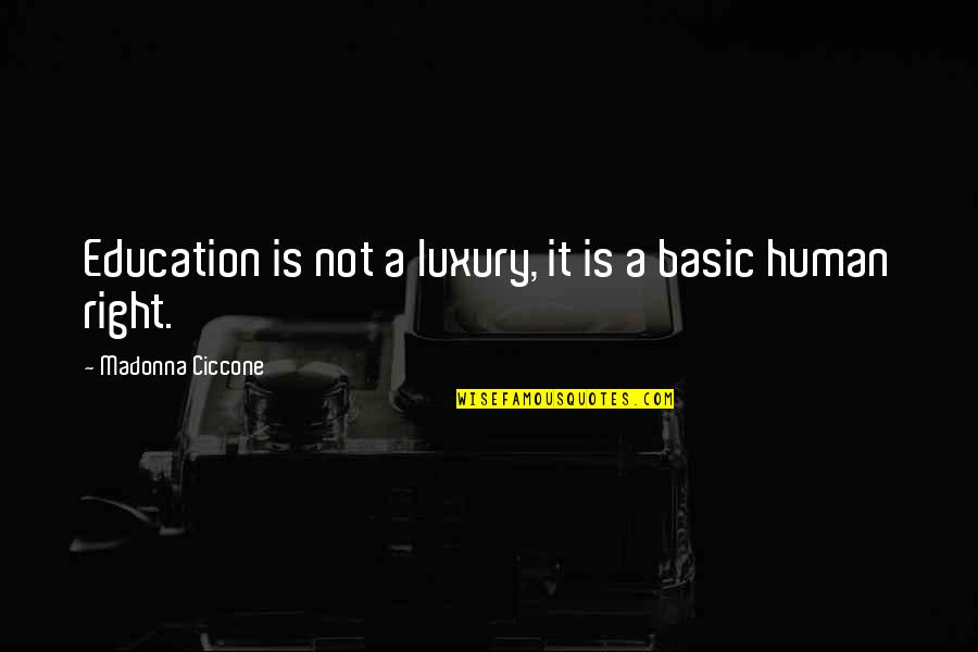 Robert Serber Quotes By Madonna Ciccone: Education is not a luxury, it is a