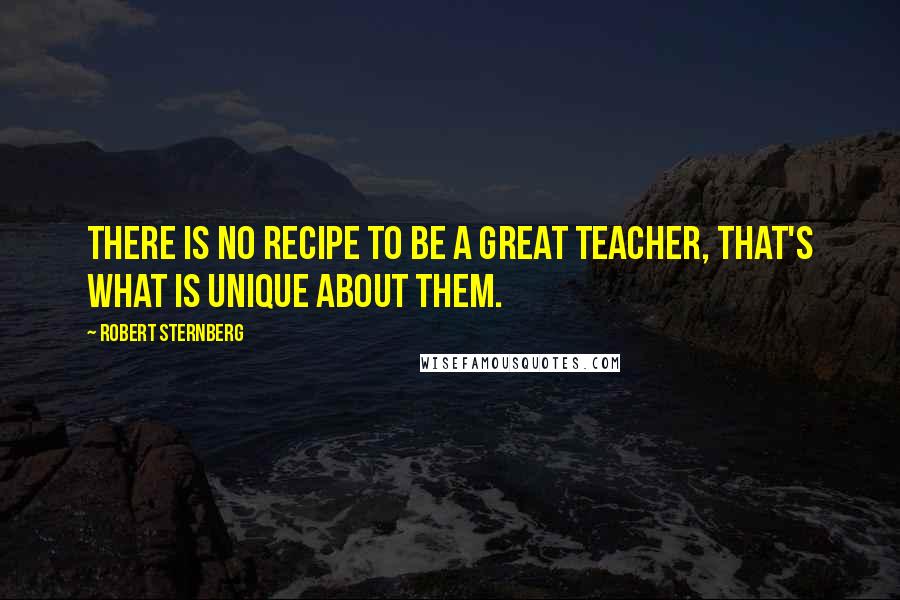 Robert Sternberg quotes: There is no recipe to be a great teacher, that's what is unique about them.