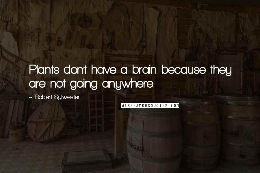 Robert Sylwester quotes: Plants don't have a brain because they are not going anywhere.