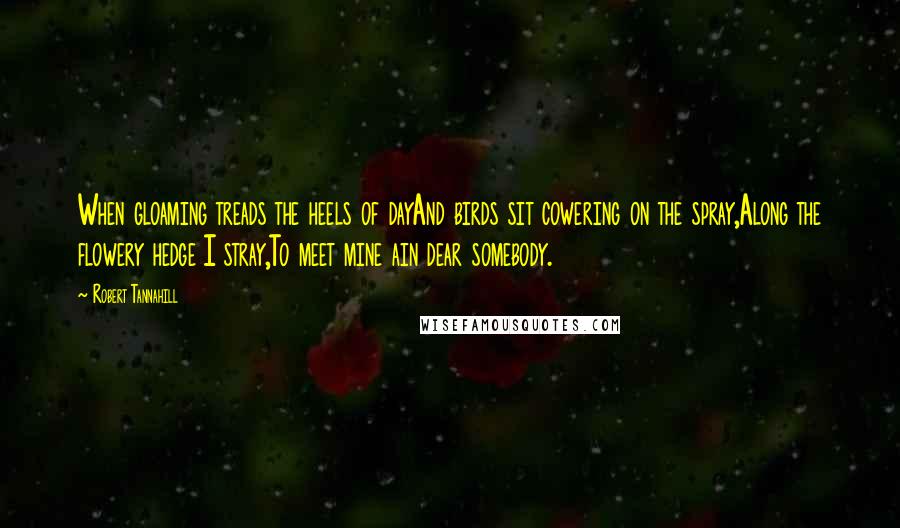 Robert Tannahill quotes: When gloaming treads the heels of dayAnd birds sit cowering on the spray,Along the flowery hedge I stray,To meet mine ain dear somebody.