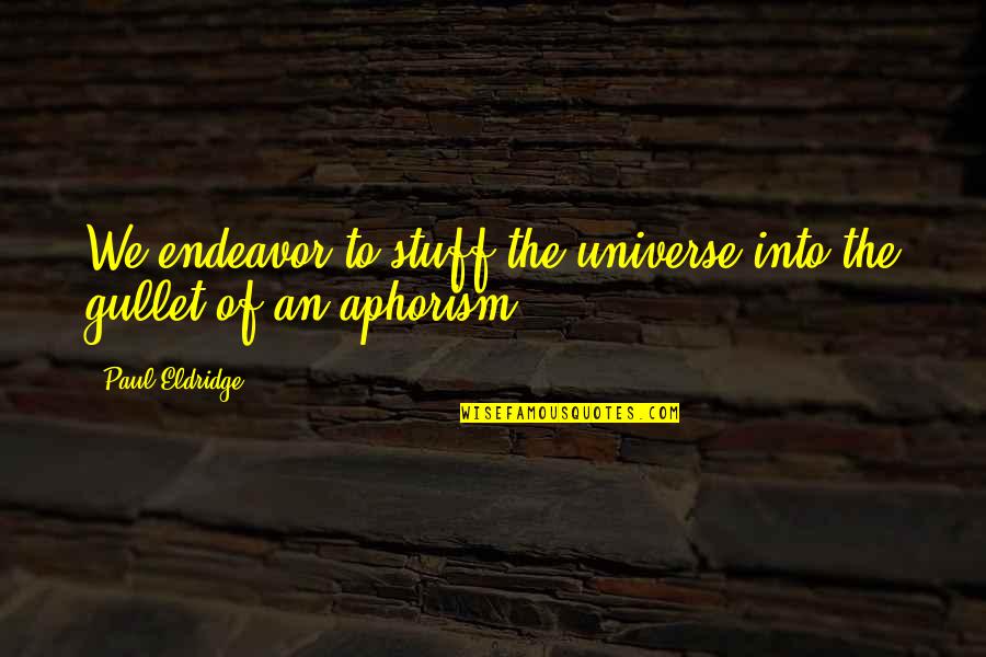 Robert Theroux Quotes By Paul Eldridge: We endeavor to stuff the universe into the