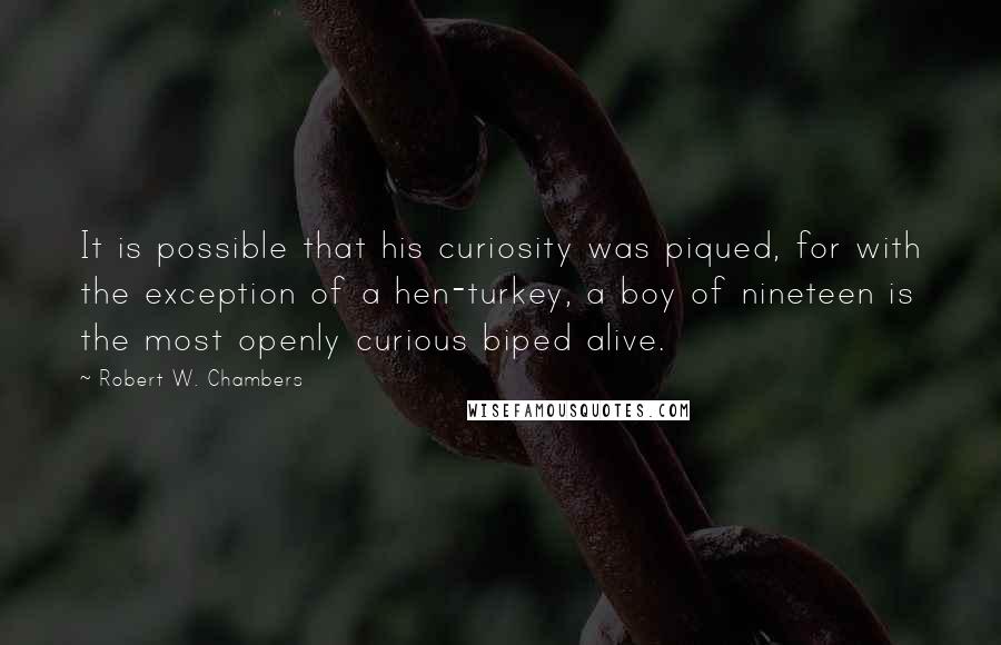 Robert W. Chambers quotes: It is possible that his curiosity was piqued, for with the exception of a hen-turkey, a boy of nineteen is the most openly curious biped alive.