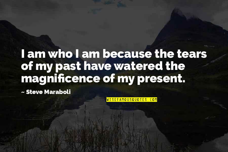 Robert Walton Quotes By Steve Maraboli: I am who I am because the tears Robert Walton Quotes By Steve Maraboli: I am who I am because the tears