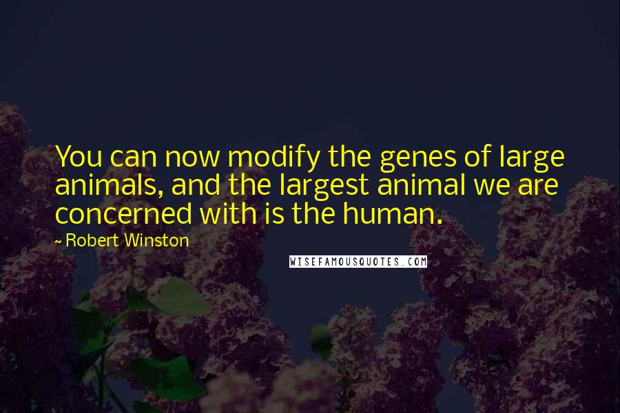 Robert Winston quotes: You can now modify the genes of large animals, and the largest animal we are concerned with is the human.