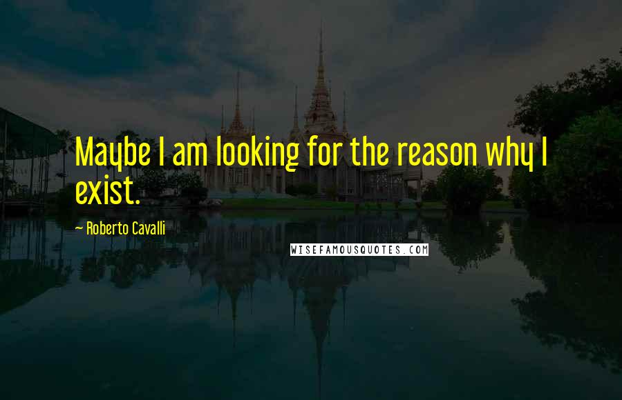 Roberto Cavalli quotes: Maybe I am looking for the reason why I exist.